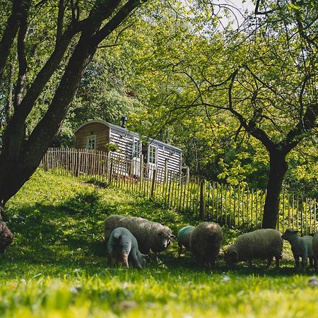 Hotel Somerset Shepherds Huts Winsham Esterno foto